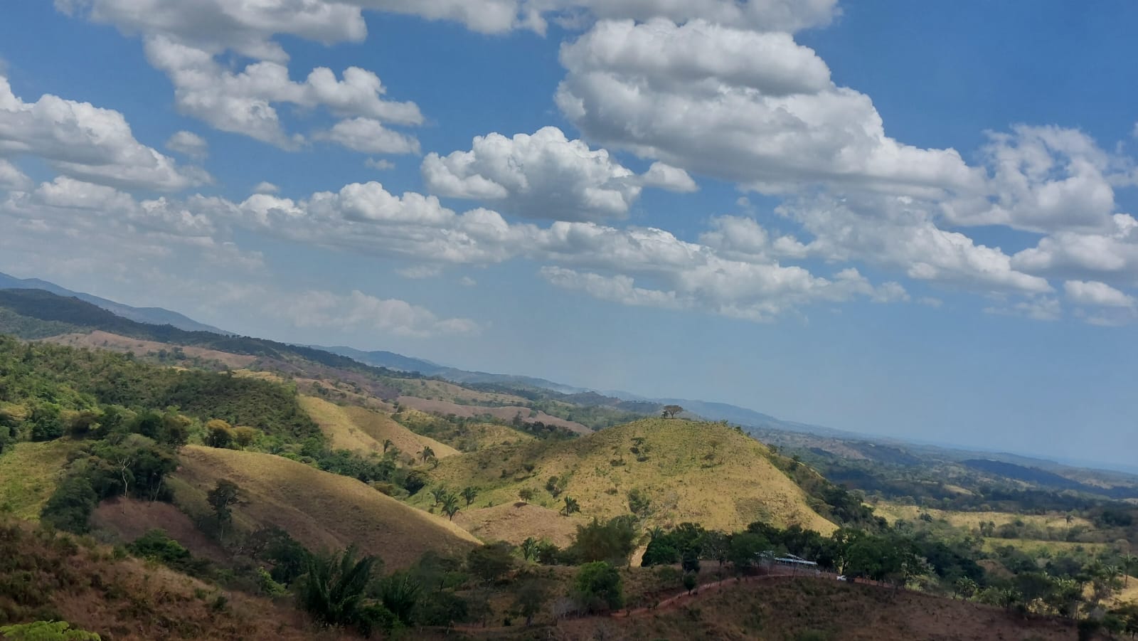 Se vende finca en tebario de mariato, Veraguas